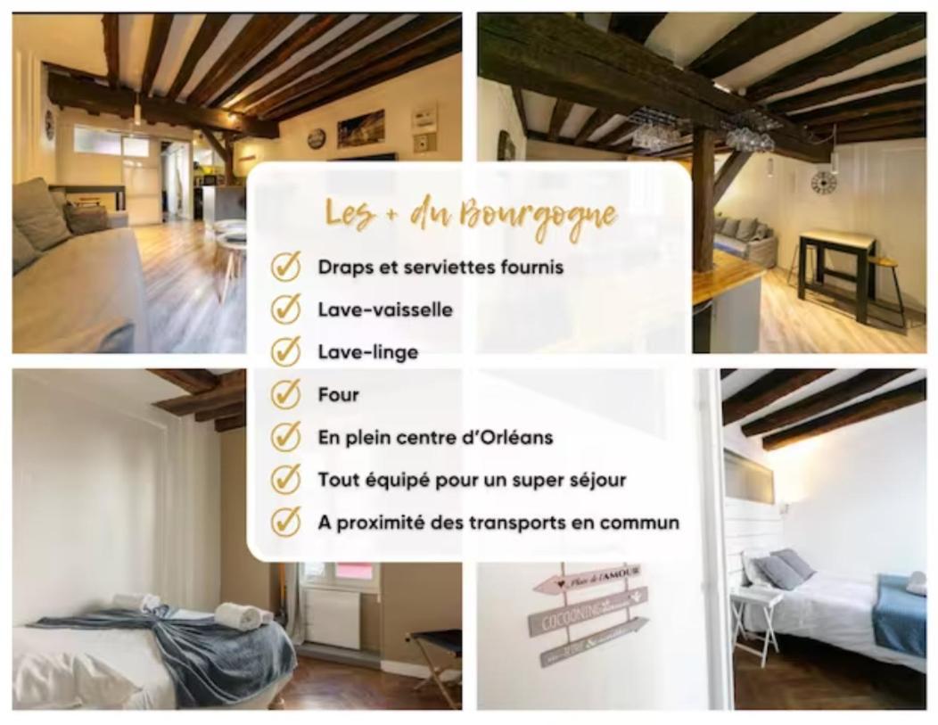 Le Bourgogne-Hypercentre Apartment Orleans Bagian luar foto